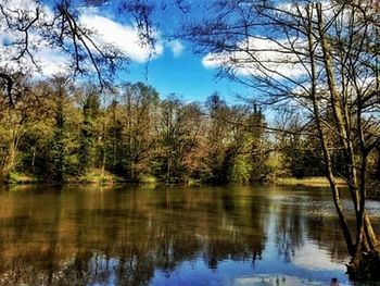 Reflection of trees in lake