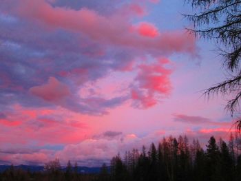 Low angle view of cloudy sky at sunset