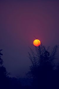 Low angle view of silhouette tree against orange sky
