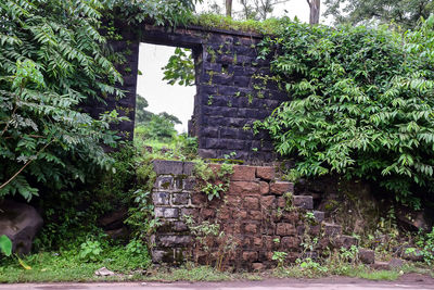 Old stone wall by trees and building