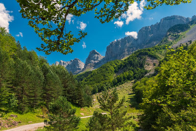 Scenic view of trees and mountains against sky