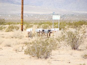 Plants and trees against sky