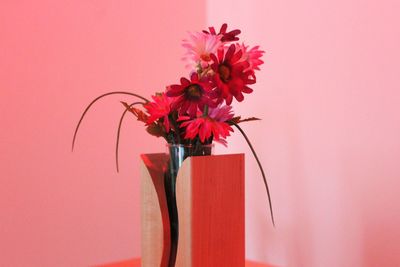 Close-up of pink flower vase against red wall