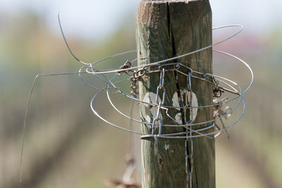 Close-up of barbed wire on fence