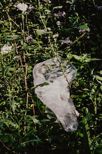 High angle view of stones on land