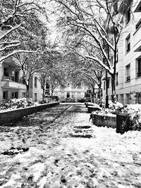 Snow covered street amidst buildings in city