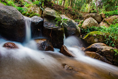 View of waterfall in forest