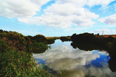 Reflection of trees in calm lake