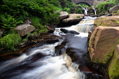 Stream flowing through rocks in forest