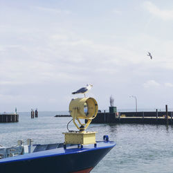 Seagulls flying over sea against sky