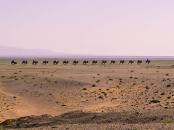 Scenic view of desert against clear sky