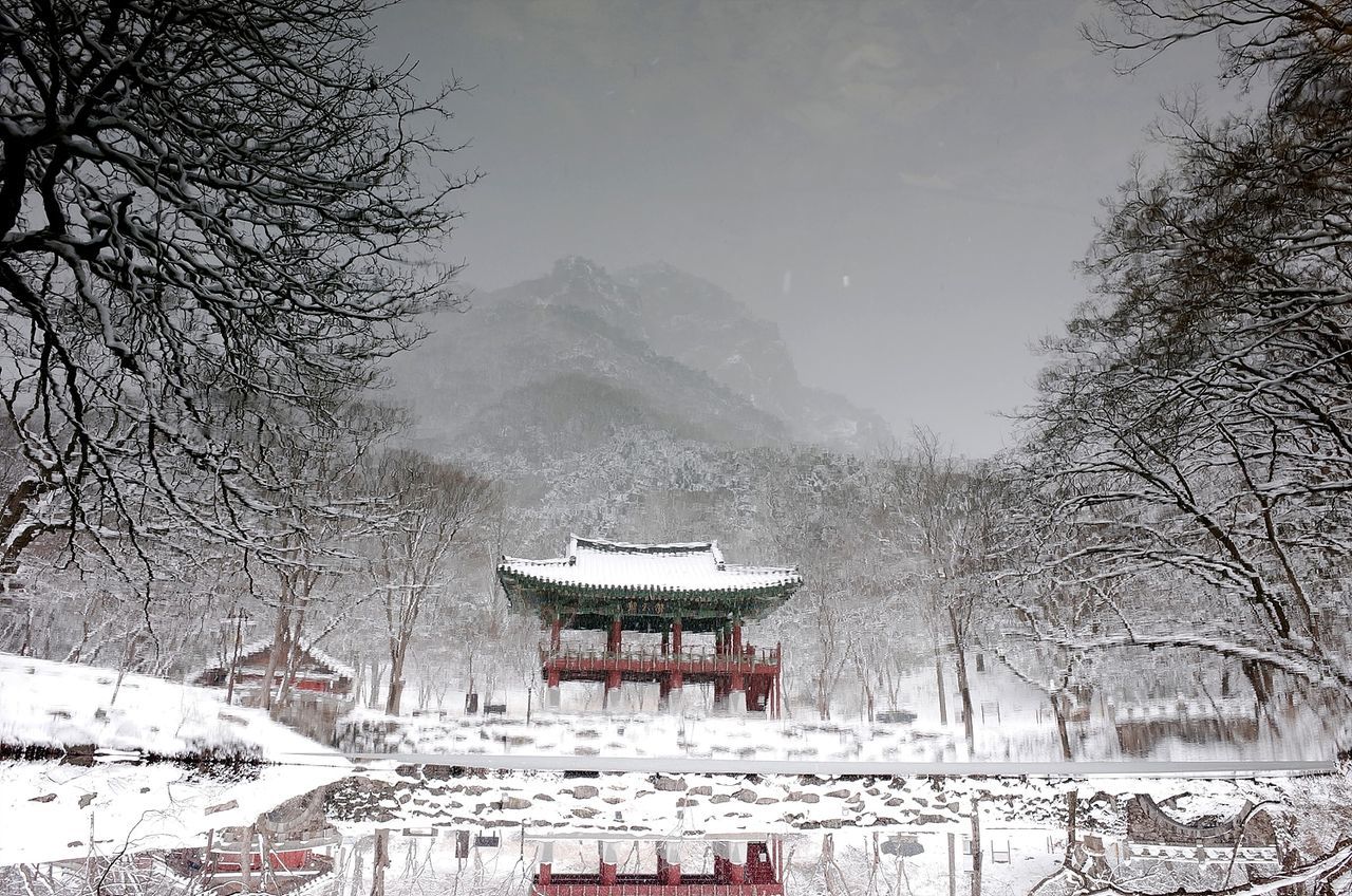 winter, snow, cold temperature, bare tree, weather, nature, frozen, tree, built structure, architecture, beauty in nature, day, outdoors, mountain, no people, scenics, branch, building exterior, sky, water