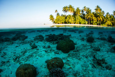 Scenic view of rocks in sea against sky