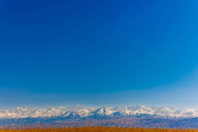 Scenic view of field against clear blue sky