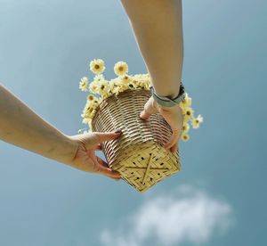 Low section of woman holding yellow flower against sky