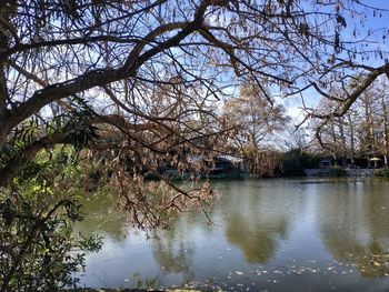Bare trees by lake against sky