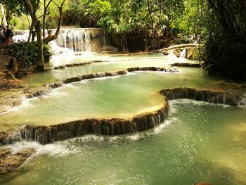 Scenic view of waterfall in forest