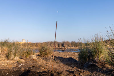 Scenic view of land against clear sky