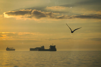 Silhouette birds on sea against sky during sunset