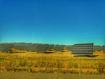 Scenic view of field against clear blue sky