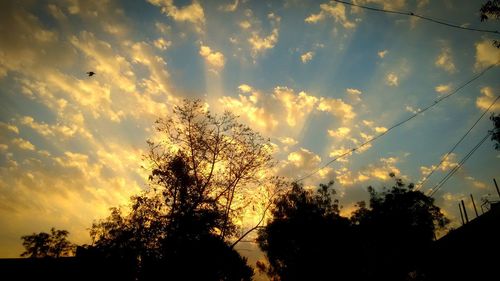 Low angle view of silhouette trees against sky at sunset