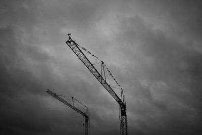 Low angle view of silhouette crane against sky