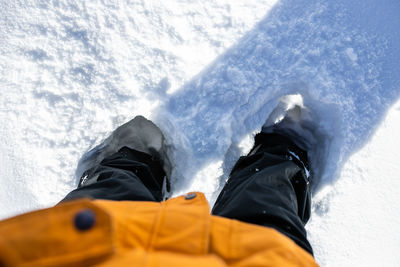 Low section of person on snowcapped mountain