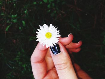 Close-up of woman hand holding flower