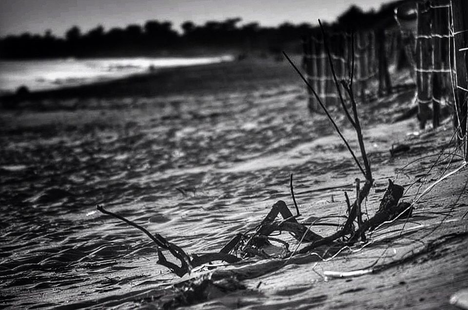 water, sea, beach, sand, tranquility, shore, nature, focus on foreground, horizon over water, tranquil scene, sunset, beauty in nature, close-up, sky, selective focus, outdoors, surface level, sunlight, scenics, rippled