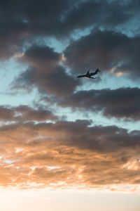 Low angle view of airplane flying in sky