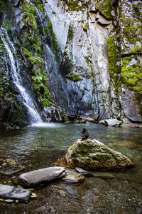 Scenic view of waterfall in forest