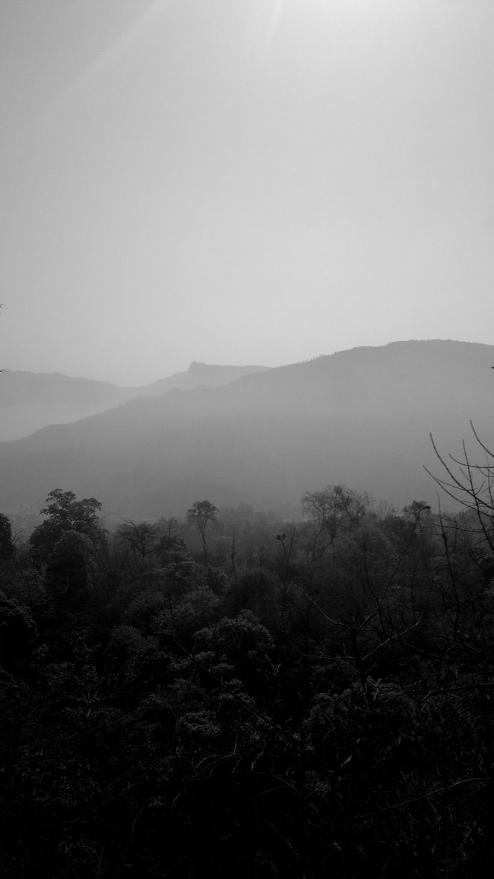 SCENIC VIEW OF TREES ON LANDSCAPE AGAINST SKY