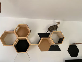 Low angle view of cat sitting on wall at home