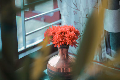 Close-up of red rose in vase