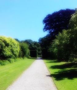 Street amidst trees against clear sky