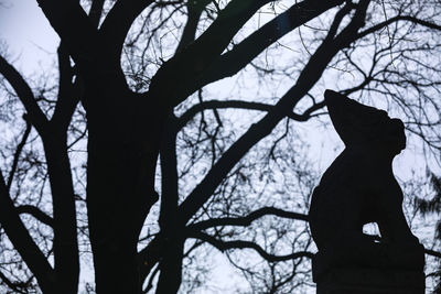 Low angle view of silhouette bare tree against sky