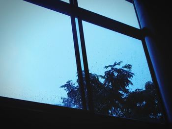 Low angle view of trees against sky seen through window