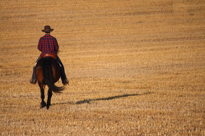 Rear view of man riding horse on field