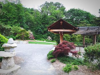 Trees in park