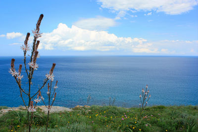Scenic view of sea against sky