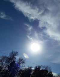 Low angle view of trees against sky