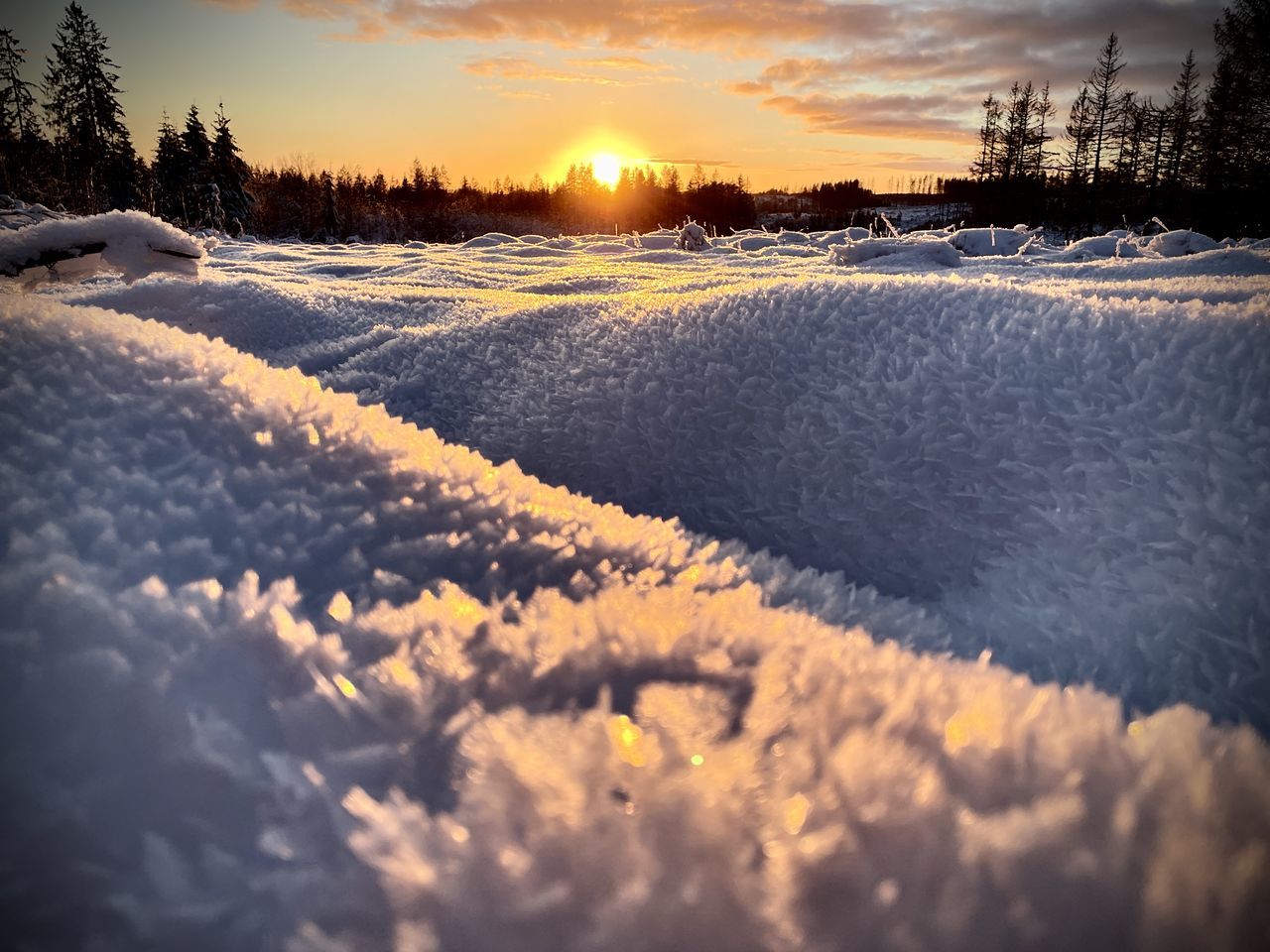 sky, sunset, snow, winter, cold temperature, cloud, nature, sunlight, beauty in nature, environment, landscape, plant, scenics - nature, tree, land, tranquility, sun, frozen, tranquil scene, no people, dawn, ice, evening, coniferous tree, pinaceae, reflection, rural scene, outdoors, pine tree, forest, freezing, non-urban scene, idyllic, frost, dramatic sky, white, field