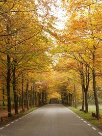 Road amidst trees during autumn