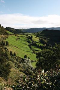 Scenic view of agricultural field against sky