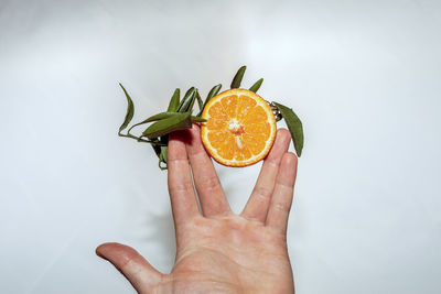 Cropped hand holding orange fruit against white background