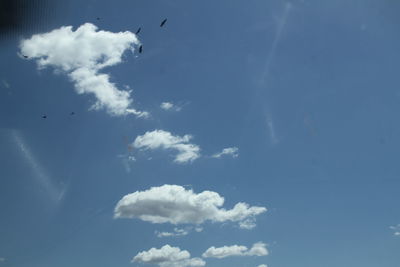 Low angle view of bird flying against sky