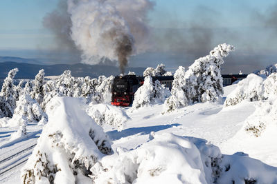 Smoke emitting from steam train amidst snow covered trees and field against sky