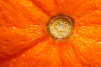 Full frame shot of orange