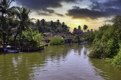 Scenic view of palm trees by river against sky