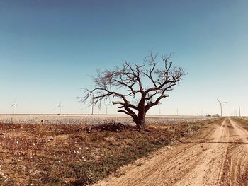 Bare tree on landscape against clear blue sky